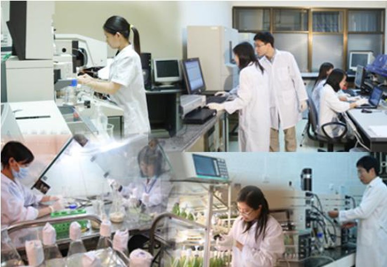Để doanh nghiệp ra đề bài, thử nghiệm, triển khai thành tựu nghiên cứu khoa học 