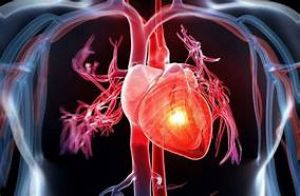 Liên kết giữa các tế bào yếu và mạnh giúp cơ thể chống lại bệnh tiểu đường	